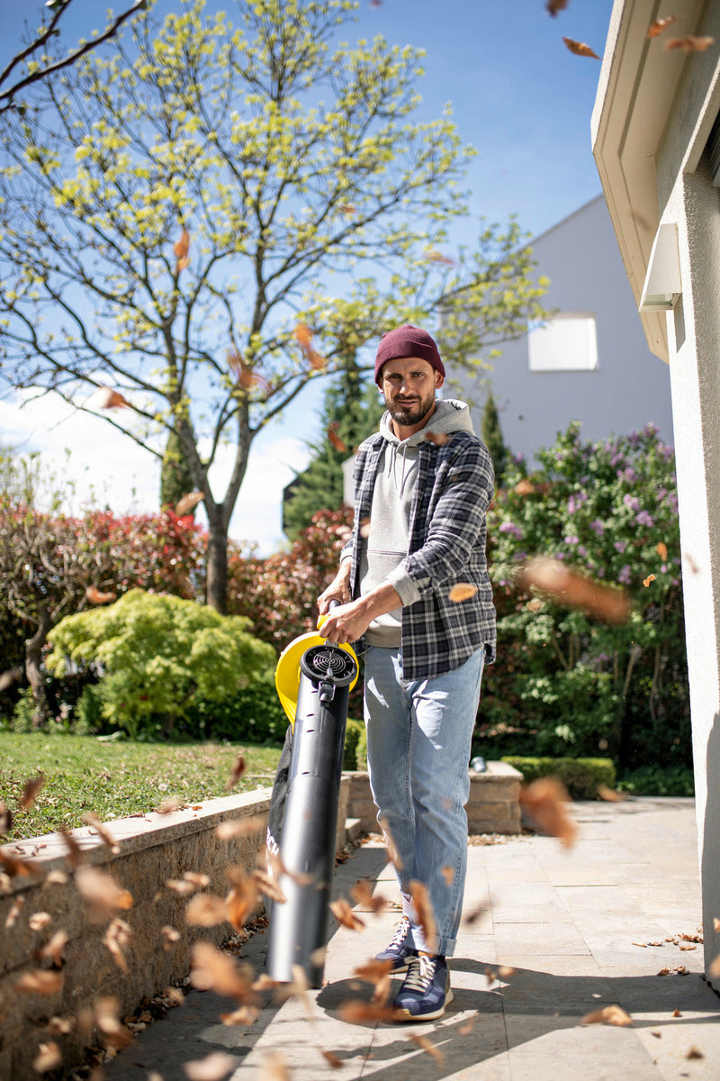 BLV 36-240 Battery 1.444-170.0